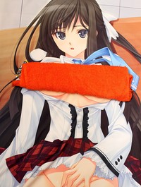 chizuru hentai dakimakura chizuru tendou page