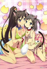 cleavage hentai pictures yande animal ears bikini cleavage hentai ouji warawanai neko nekomimi onoda masahito swimsuits tail tsutsukakushi tsukiko tsukushi show