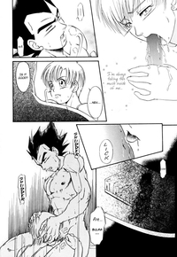 dbz hentai bchan cheapthrills page