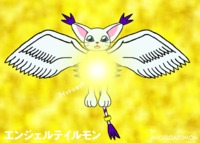 digimon gatomon hentai angelgatomon light shot phpboard