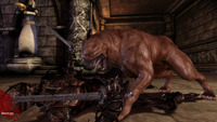 dragon age hentai pics war hound dragon age