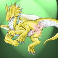 dragon furry hentai pics wet dragon pussy page