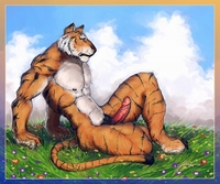 furry adult hentai gay furry tiger cat porn hentai girls