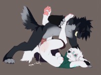 furry hentai gif 