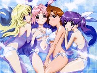 girls bravo hentai manga data wallpaper girlsbravo girls bravo
