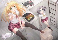 great hentai series data gallery series hentai ouji warawanai neko category artbooks