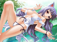 neko hentai pics promo picture corner hentai neko pics