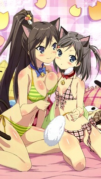 neko hentai pics hentai ouji warawanai neko tsukiko tsutsukakushi zte flash wallpaper tsukushi