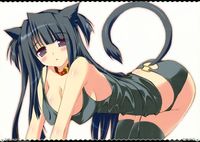 neko hentai pics hentai gallery album med neko girl