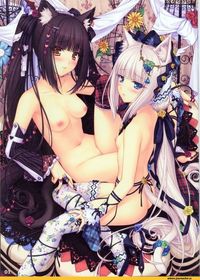 neko hentai pics bcd ecchii ecchi