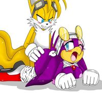 sonic and tails hentai sonic riders team tail furries pictures album wave