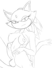 sonic hentai blaze blaze cat sonic team furries pictures album