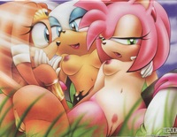 sonic hentai wave amy rose rouge bat sonic team tikal echidna knuckles series tagme