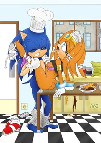 sonic riders hentai sonic team hedgeho pictures search query mario page