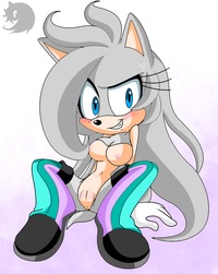 sonic riders hentai winonaheart venuswhatarey pictures search query sonic porns sorted page