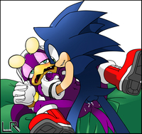 sonic riders hentai leatherruffian sonic riders team hedgehog wave swallow