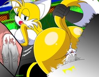 sonic tails hentai tailsko female tails furries pictures album tagged sonic hedgehog sorted best