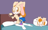 sonic vanilla hentai sonic team hedgehog cream rabbit vanilla hearlesssoul comment