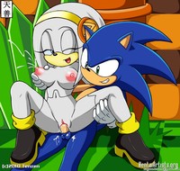 sonic x rouge hentai fullsize commission sonic zeta