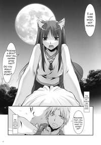 spice and wolf hentai pics action spice wolf hentai pics manga horonhororon