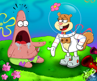 sponge bob square pants hentai patrick star sandy cheeks furries pictures album sponge bob square pants