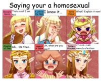 the legend of zelda hentai legend zelda meme saying homosexual aqsz hentai crossover super mario bros twilight princess