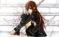 vampire knight hentai manga yuki cross vampire knight wallpaper wide forums general discussion avs favorite monster girl species voting tournament thread