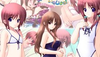 hentai anime chicks wallpapers hentai ecchi anime girls wallpaper