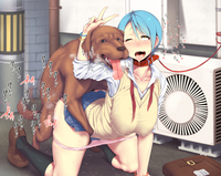 hentai dog fucking pics animal bestiality hentai portal glados human anime