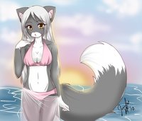 hentai furry girls swimsuit furry girls collection hentai manga albums search query luscious