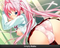 hentai gallery gallery stellula eques hentai
