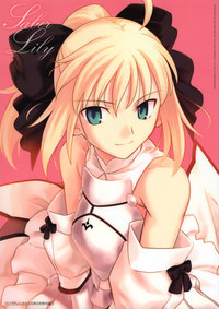 hentai saber moe fate stay night unlimited codes saber lily takeuchi takashi type moon weekly art