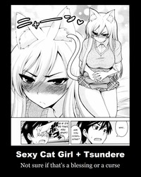hot cat woman hentai sexy cat girl tsundere demotivational poster ranmano fan art rachnera