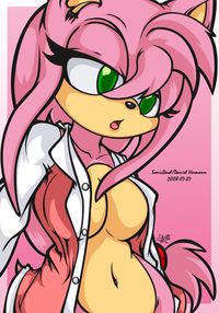 human sonic hentai sonic amy hentai fan art