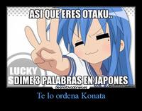 lucky star konata hentai carteles anime lucky star desmotivaciones izumi recientes