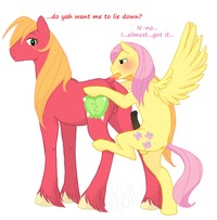 my little pony hentai rule 34 faec macintosh fluttershy friendship magic little pony rule cartoonlion hentai hentaisweetie pictures user