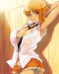 nami hentai photoalbum album nami photogallery