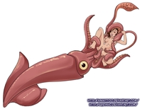 squid girl hentai aakkittoo squid pictures user