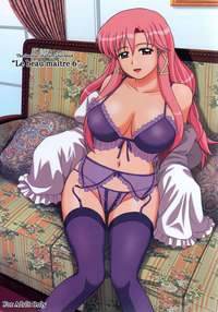 zero no tsukaima hentai pics beau maitre zero tsukaima