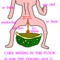 Princess Peach Lesbian Hentai