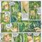 Zelda Hentai Comic