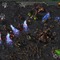 Starcraft Hentai Gallery