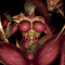 Starcraft Kerrigan Hentai