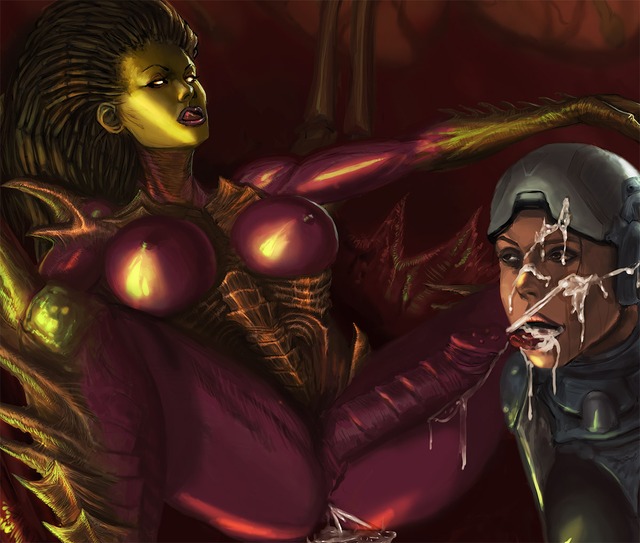 starcraft nova hentai hentai net data rule nova starcraft kaihlan acdc paheal terra mongobongo